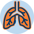 Lungs Icon